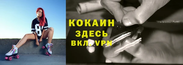 прущие грибы Лихославль