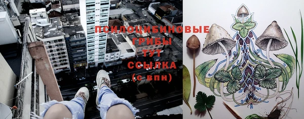 2c-b Лагань