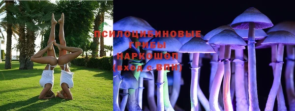 прущие грибы Лихославль