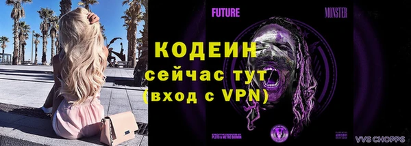 2c-b Лагань