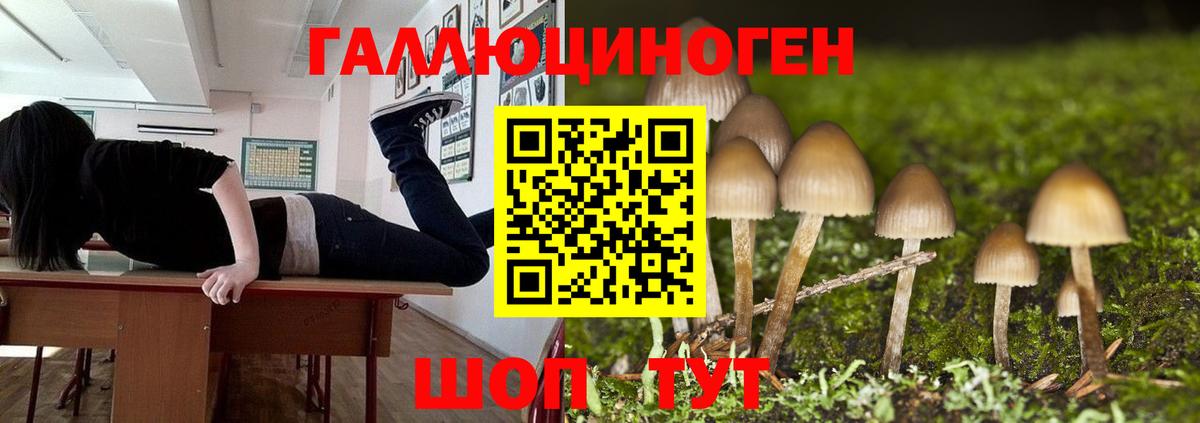 Псилоцибиновые грибы Psilocybine cubensis  продажа наркотиков  Кудымкар  Вход с VPN 